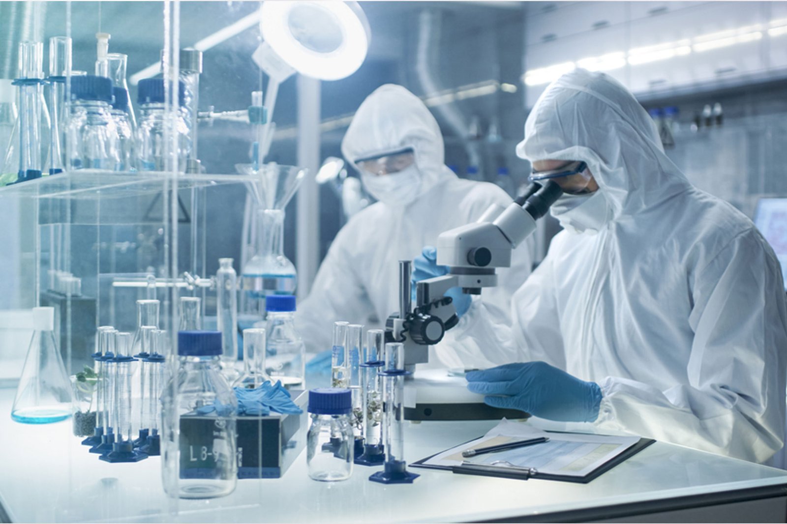 Lilipeptide laboratory